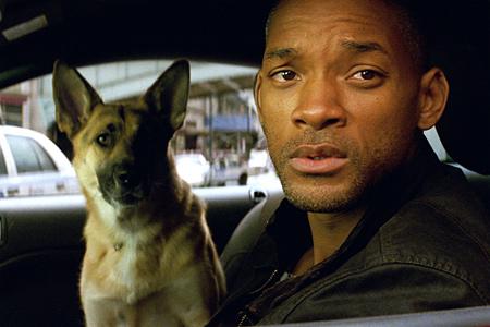 Кадр из фильма Я – легенда / I Am Legend (2008)