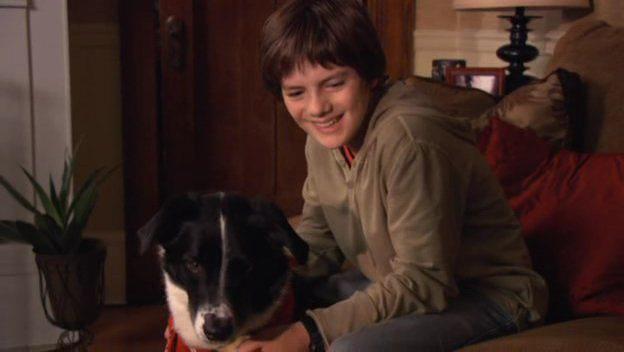 Кадр из фильма Приключения Финна / Finn on the Fly (2008)