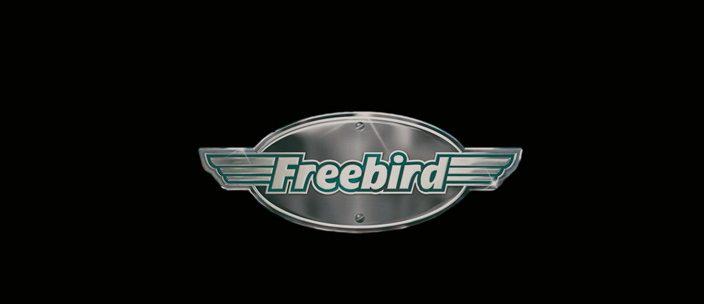 Кадр из фильма Дальнобой без тормозов / Freebird (2008)