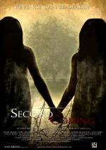 Второе пришествие / Second Coming (2008)