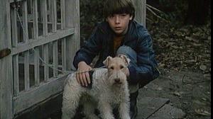 Кадры из фильма Третий дракон / Tretí sarkan (1985)