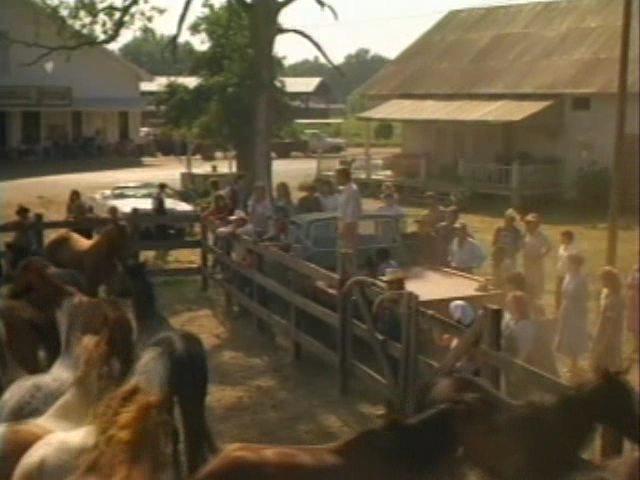 Кадр из фильма Долгое жаркое лето / The Long Hot Summer (1985)