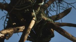 Кадры из фильма Смертельная ловушка / Deadfall Trail (2009)