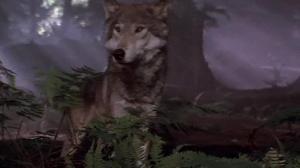 Кадры из фильма Клан Пещерного Медведя / The Clan of the Cave Bear (1986)