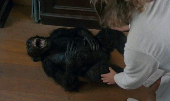 Кадр из фильма Линк / Link (1986)