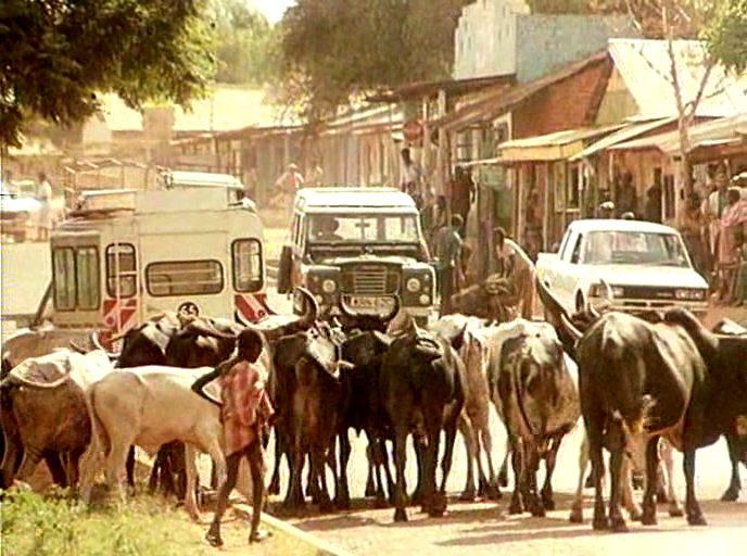 Кадр из фильма В тени Килиманджаро / In the Shadow of Kilimanjaro (1986)