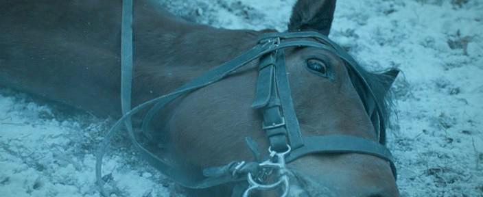 Кадр из фильма Зима в военное время / Oorlogswinter (2008)
