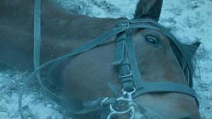 Кадры из фильма Зима в военное время / Oorlogswinter (2008)