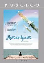 Метеоидиот / The Rainbowmaker (2008)