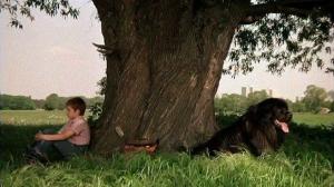 Кадры из фильма Мальчик с большой чёрной собакой / Der Junge mit dem großen schwarzen Hund (1986)