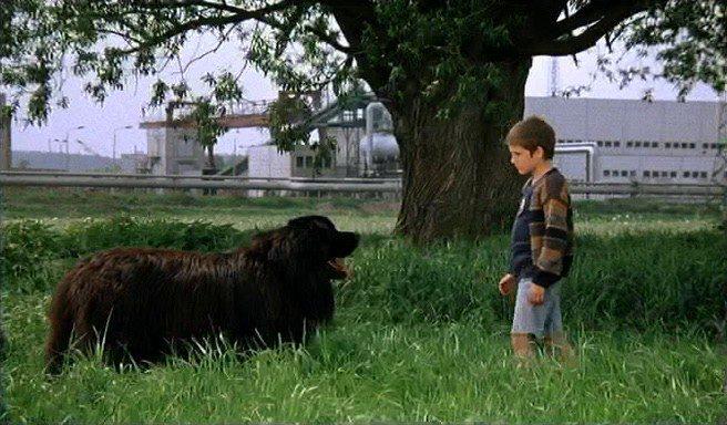 Кадр из фильма Мальчик с большой чёрной собакой / Der Junge mit dem großen schwarzen Hund (1986)