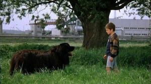 Кадры из фильма Мальчик с большой чёрной собакой / Der Junge mit dem großen schwarzen Hund (1986)
