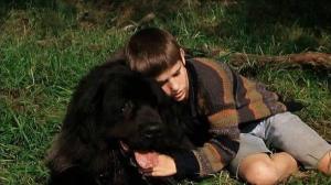Кадры из фильма Мальчик с большой чёрной собакой / Der Junge mit dem großen schwarzen Hund (1986)
