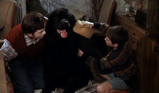 Кадр из фильма Мальчик с большой чёрной собакой / Der Junge mit dem großen schwarzen Hund (1986)