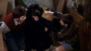 Кадры из фильма Мальчик с большой чёрной собакой / Der Junge mit dem großen schwarzen Hund (1986)