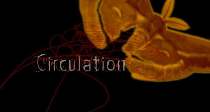 Кадр из фильма Круговорот (Циркуляция) / Circulation (2008)