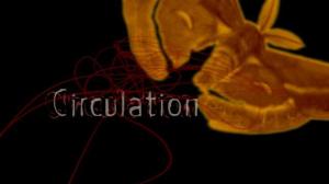 Кадры из фильма Круговорот (Циркуляция) / Circulation (2008)