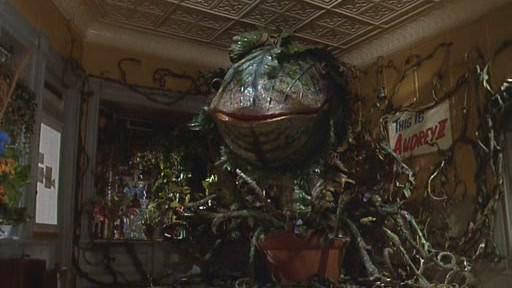 Кадр из фильма Лавка ужасов / Little Shop of Horrors (1986)