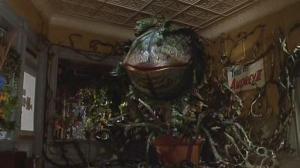 Кадры из фильма Лавка ужасов / Little Shop of Horrors (1986)