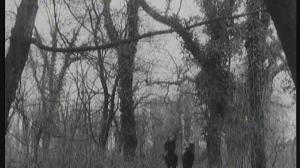 Кадры из фильма Гость (1987)