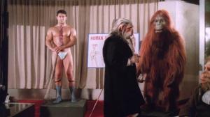Кадры из фильма Столичное животное / Animali metropolitani (1987)