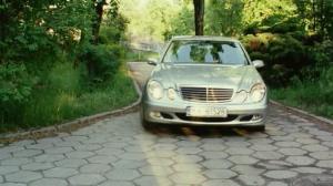 Кадры из фильма Сад Луизы / Ogród Luizy (2007)