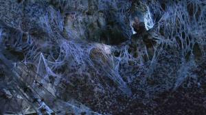 Кадры из фильма Паутина зла (В паучьих сетях) / In the Spider’s Web (2007)