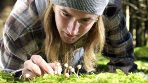 Кадры из фильма Грибы / Shrooms (2007)