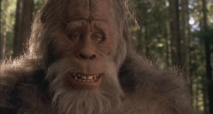 Кадр из фильма Гарри и Хендерсоны / Harry and the Hendersons (1987)