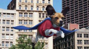 Кадры из фильма Суперпес / Underdog (2007)