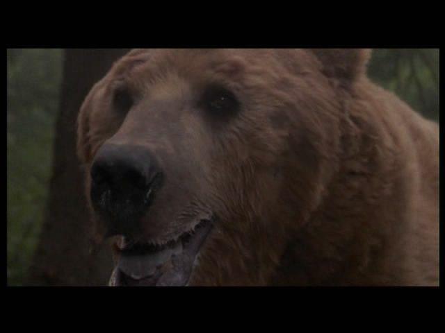 Кадр из фильма Погоня за Бенджи / Benji The Hunted (1987)