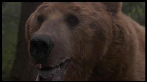 Кадры из фильма Погоня за Бенджи / Benji The Hunted (1987)
