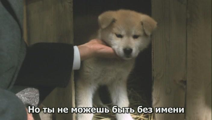 Кадр из фильма История Хатико / Hachiko monogatari (1987)