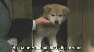 Кадры из фильма История Хатико / Hachiko monogatari (1987)