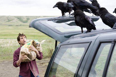 Кадр из фильма Посланники / The Messengers (2007)