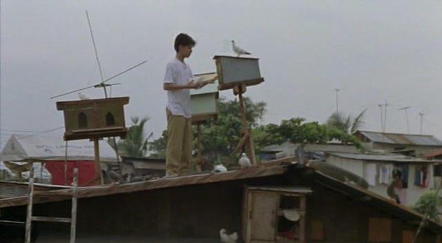 Кадр из фильма Воспитанник / Foster Child (2007)