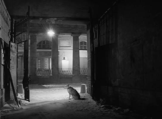 Кадр из фильма Собачье сердце (1988)