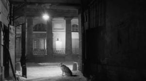Кадры из фильма Собачье сердце (1988)