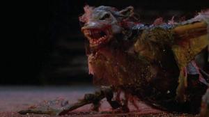Кадры из фильма Вдова Дракулы / Dracula's Widow (1988)
