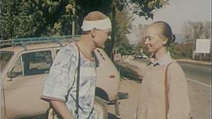 Кадры из фильма Дама с попугаем (1988)