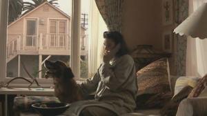 Кадры из фильма Седьмое знамение / The Seventh Sign (1988)