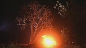 Кадры из фильма Звук и ярость / De bruit et de fureur (1988)