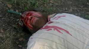 Кадры из фильма Зомби 5: Смертоносные птицы / Killing Birds: Raptors (1988)