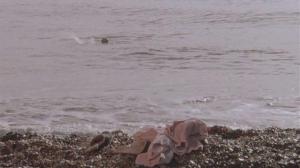 Кадры из фильма Отсчет утопленников / Drowning by Numbers (1988)