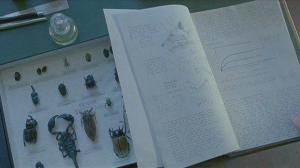 Кадры из фильма Читая мысли / Like minds (2007)