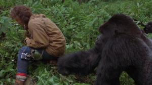 Кадры из фильма Гориллы в тумане: История Дайан Фосси / Gorillas in the Mist: The Story of Dian Fossey (1988)