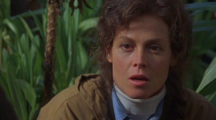 Кадр из фильма Гориллы в тумане: История Дайан Фосси / Gorillas in the Mist: The Story of Dian Fossey (1988)