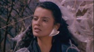 Кадры из фильма Феникс-воин / Phoenix the Warrior (1988)