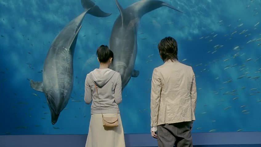 Кадр из фильма Я люблю мою младшую сестренку / My Sister, My Love (2007)