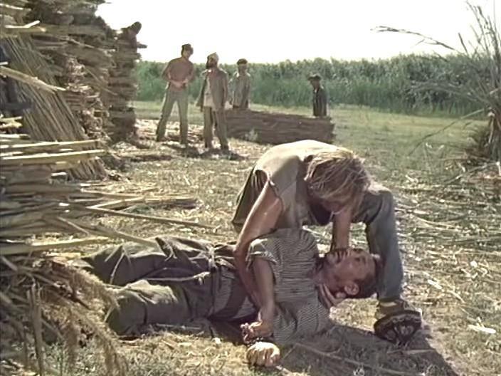 Кадр из фильма Камышовый рай (1989)